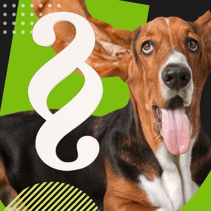 OÖ Hundehaltungsgesetzt 2024